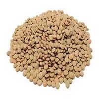 عدس خارجي outdoor lentils 1kg