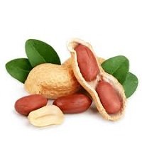 فول سوداني peanut