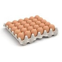 œufs externes // external eggs *30