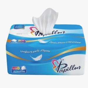 papillon mouchoir 2plis